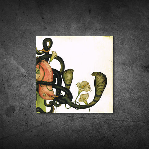 Head Down Vinyl