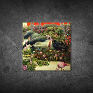 Feral Roots CD